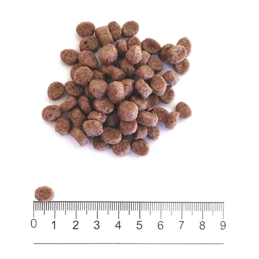 Prolife Dual Fresh Adult Mini Tacchino Maiale e Riso 2kg - Crocchette per Cani Prolife Dual Fresh Adult Mini Tacchino Maiale e Riso 2kg - Crocchette per Cani
